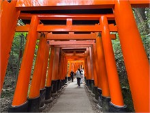 024- Fushimi-Inari-Taisha-Shrine